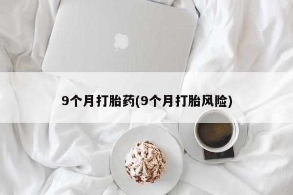 admin 第311页