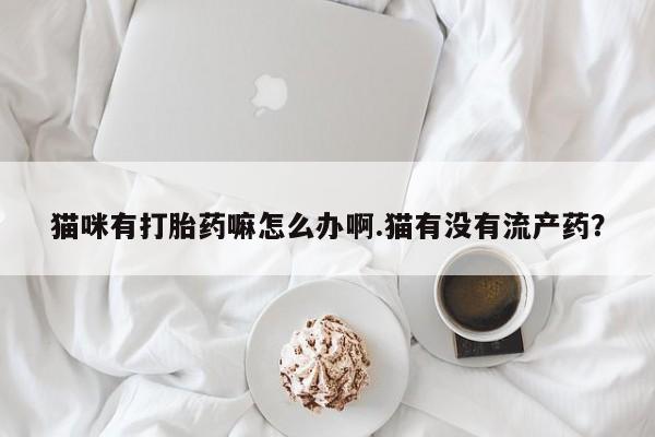 卖打胎药联系方式，猫咪有打胎药嘛怎么办啊.猫有没有流产药？